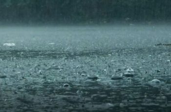 বৃষ্টি ও বজ্রসহ বৃষ্টির পূর্বাভাস: আগামী ৫ দিন আবহাওয়া অফিসের তথ্য
