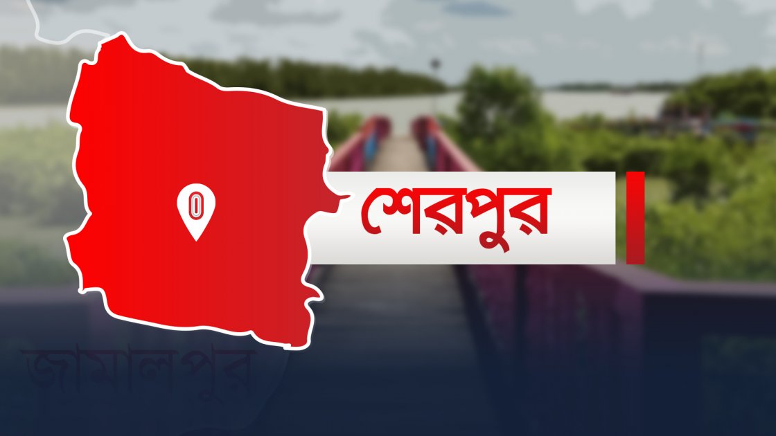 শেরপুরে জলাবদ্ধতায় ক্ষতিগ্রস্ত কলা চাষিরা, দাবি দ্রুত সমাধানের