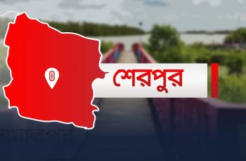 শেরপুরে জলাবদ্ধতায় ক্ষতিগ্রস্ত কলা চাষিরা, দাবি দ্রুত সমাধানের