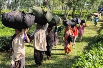 চা শ্রমিকদের অধিকার প্রতিষ্ঠার দাবিতে সংগ্রাম অব্যাহত