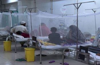 ডেঙ্গুতে মৃত্যুর সংখ্যা বেড়ে ৯০, হাসপাতালে ভর্তি ৯৯৬