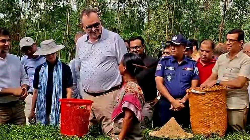 মার্কিন রাষ্ট্রদূতের বাংলাদেশে চা চাষে আগ্রহ প্রকাশ