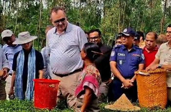 মার্কিন রাষ্ট্রদূতের বাংলাদেশে চা চাষে আগ্রহ প্রকাশ