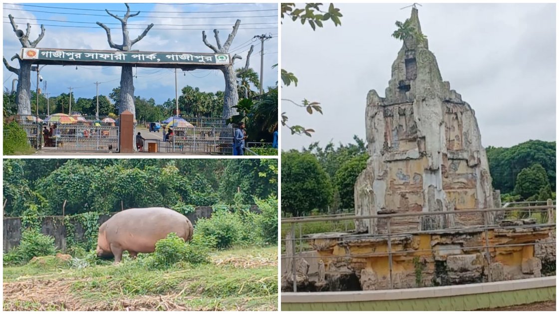 গাজীপুর সাফারি পার্কে নিরাপত্তাহীনতা ও অব্যবস্থাপনা বৃদ্ধি পাচ্ছে