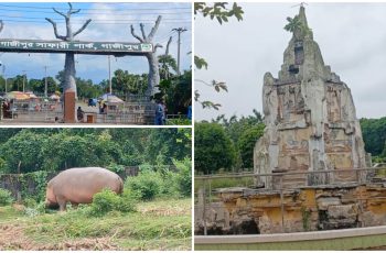 গাজীপুর সাফারি পার্কে নিরাপত্তাহীনতা ও অব্যবস্থাপনা বৃদ্ধি পাচ্ছে
