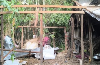 শরীয়তপুরে রান্নাঘরে ককটেল বিস্ফোরণে নারী আহত