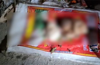 বরিশালে ময়লার স্তূপ থেকে ২ নবজাতকের মরদেহ উদ্ধার