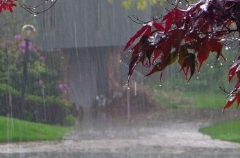 আজ দেশের বিভিন্ন অঞ্চলে বৃষ্টি হতে পারে
