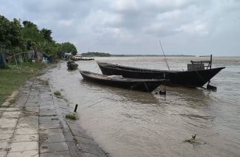 রাজবাড়ীতে পদ্মার পানি বাড়লেও বিপৎসীমার নিচে