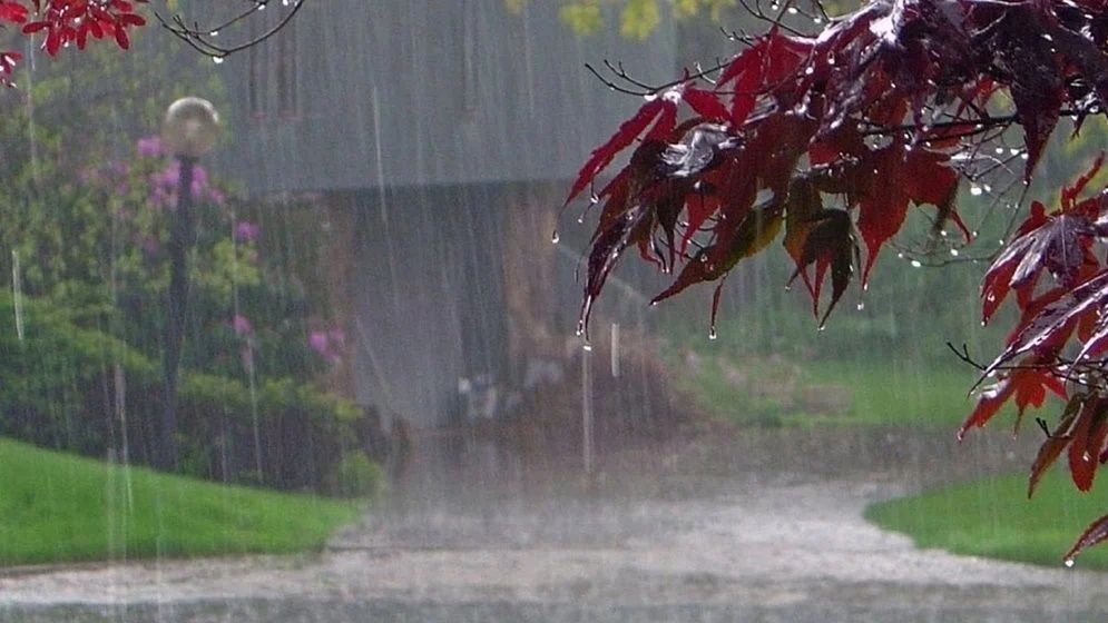 দেশের ৮ বিভাগে আগামী ২৪ ঘণ্টায় বৃষ্টির পূর্বাভাস