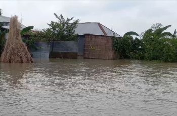 উজানের ঢলে পানিবন্দি রাজশাহী, চাঁপাইনবাবগঞ্জ ও কুষ্টিয়া