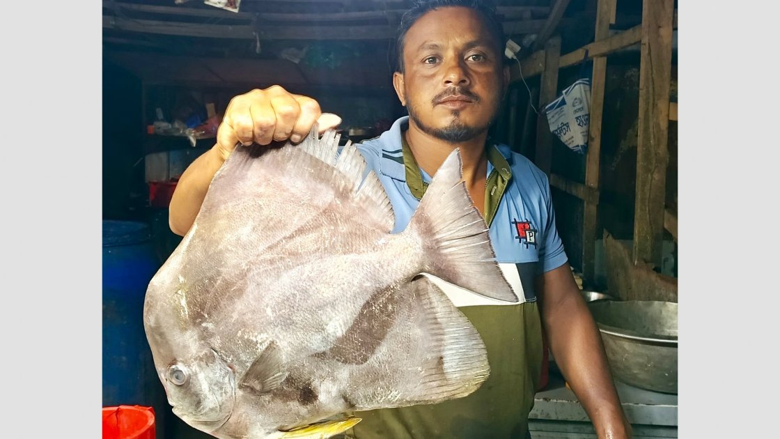 কুয়াকাটায় বিরল ‘কিং চান্দা’ মাছ ধরা পড়েছে