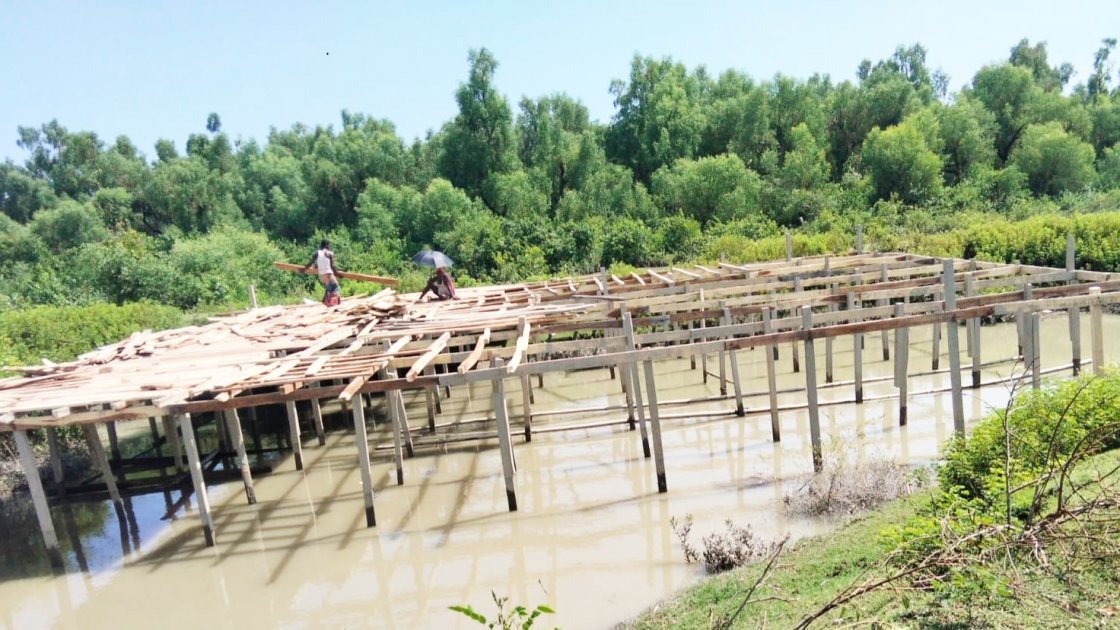 কুয়াকাটায় সংরক্ষিত বনাঞ্চলের পাশে স্থাপনা নির্মাণের অভিযোগ