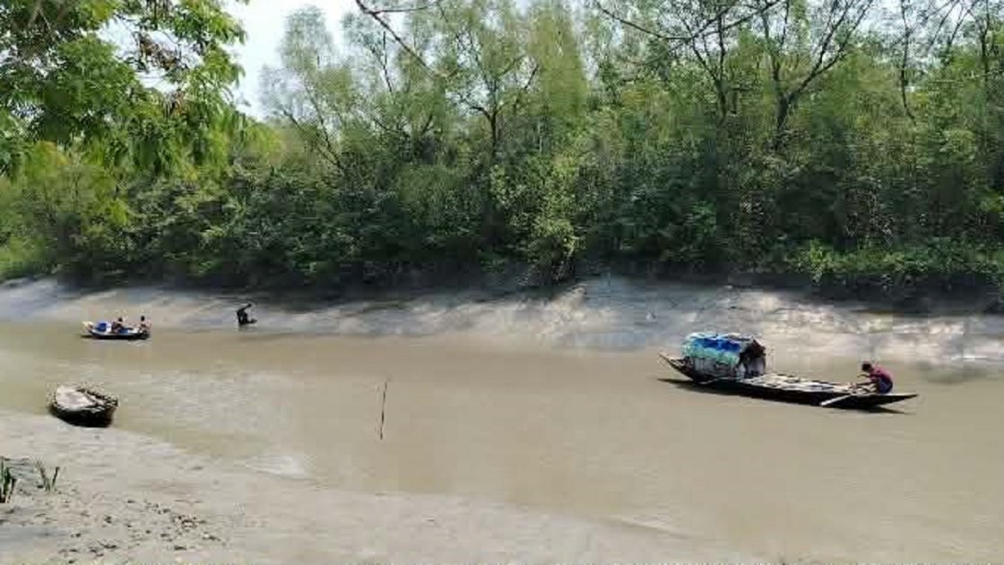 সুন্দরবনে প্লাস্টিক বর্জ্য অপসারণে টোয়াসের উদ্যোগ