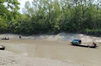 সুন্দরবনে প্লাস্টিক বর্জ্য অপসারণে টোয়াসের উদ্যোগ
