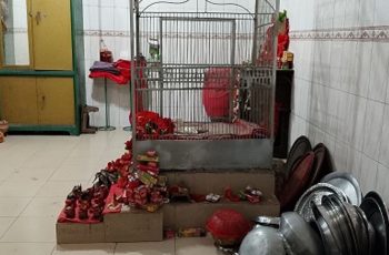 ফরিদপুরের কালী মন্দিরে চুরি: কষ্টিপাথরের মূর্তি ও স্বর্ণালঙ্কার গায়েব