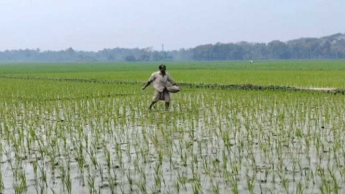 জ্বালানির দাম বৃদ্ধিতে কৃষকদের উৎপাদন ব্যয় বেড়ে যাচ্ছে