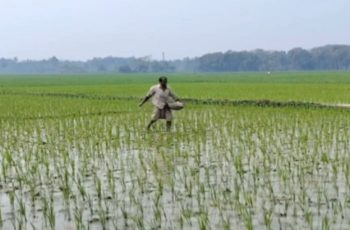 জ্বালানির দাম বৃদ্ধিতে কৃষকদের উৎপাদন ব্যয় বেড়ে যাচ্ছে