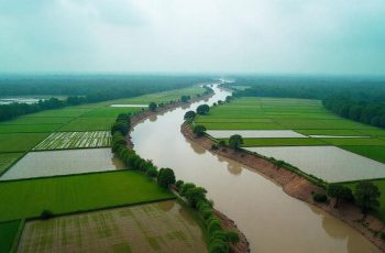 ডিজেলের দাম বৃদ্ধি খাদ্য নিরাপত্তায় চরম সংকট সৃষ্টি করছে