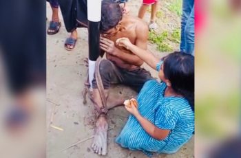 ছোট্ট মেয়ের বাবার প্রতি মমতা, খুঁটির সঙ্গে বাঁধা বাবাকে খাওয়াল