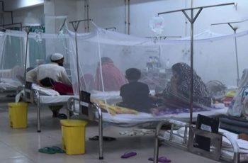 ডেঙ্গুতে ২৪ ঘণ্টায় ৬ প্রাণহানি, মোট মৃত্যু ২৪৫