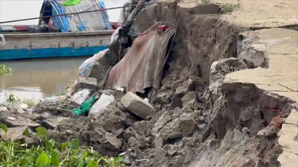 শরীয়তপুরে পদ্মার ভাঙনে ৫০ মিটার তীর রক্ষা বাঁধ বিলীন