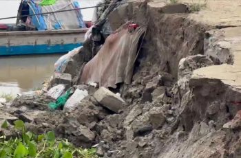 শরীয়তপুরে পদ্মার ভাঙনে ৫০ মিটার তীর রক্ষা বাঁধ বিলীন