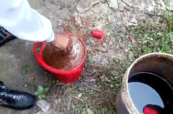 চাঁপাইনবাবগঞ্জে ককটেল বিস্ফোরণ, ১১টি অবিস্ফোরিত ককটেল উদ্ধার