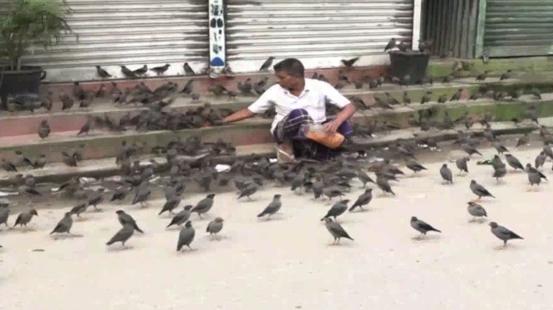 বিশ্ব প্রাণী দিবসে পশুপাখির প্রতি সংবেদনশীলতার তাগিদ