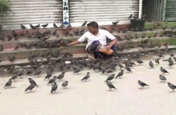 বিশ্ব প্রাণী দিবসে পশুপাখির প্রতি সংবেদনশীলতার তাগিদ