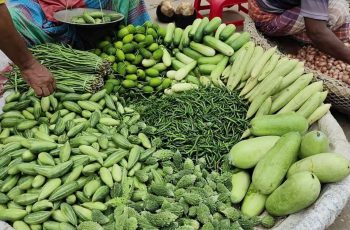 লালমনিরহাটে আধুনিক পদ্ধতিতে সবজি চাষে কৃষকদের আগ্রহ