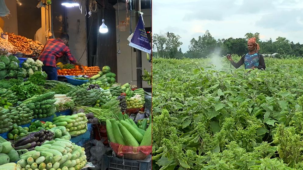 ফসলের নিরাপত্তা: উৎপাদন থেকে ভোক্তার প্লেটের ঝুঁকি