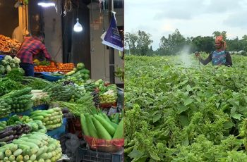 ফসলের নিরাপত্তা: উৎপাদন থেকে ভোক্তার প্লেটের ঝুঁকি