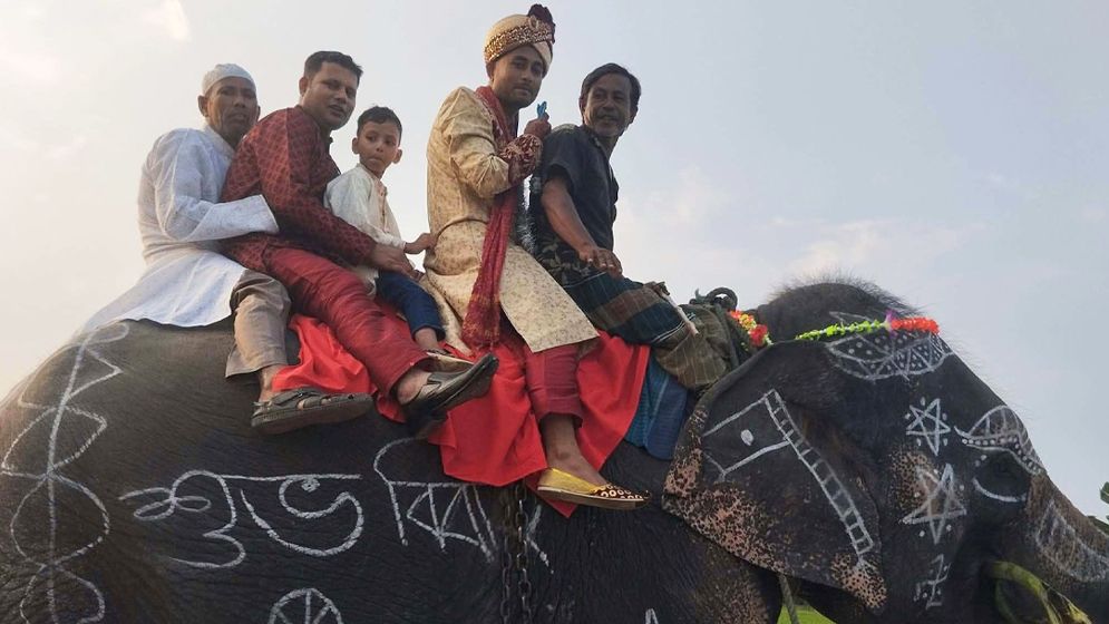 গাইবান্ধায় হাতির পিঠে বরযাত্রা, মায়ের শখ পূরণে ব্যতিক্রমী আয়োজন