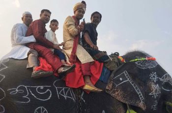 গাইবান্ধায় হাতির পিঠে বরযাত্রা, মায়ের শখ পূরণে ব্যতিক্রমী আয়োজন