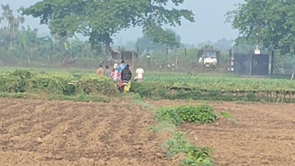 মেহেরপুরের রংমহল সীমান্তে ৬ জন পুশইনের চেষ্টা ব্যর্থ