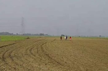 কুষ্টিয়া সীমান্তে পুশইন প্রতিরোধ, বিএসএফের চেষ্টা ব্যর্থ