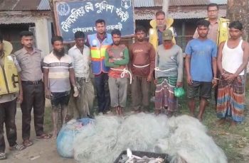 রাজবাড়ীতে নিষেধাজ্ঞা অমান্য করে ইলিশ শিকার, ৭ জন আটক