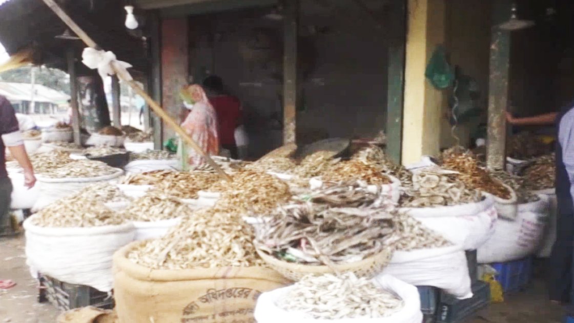 নীলফামারীতে আধুনিক হিমাগার ছাড়া ১২০ কোটি টাকার শুটকির ব্যবসা