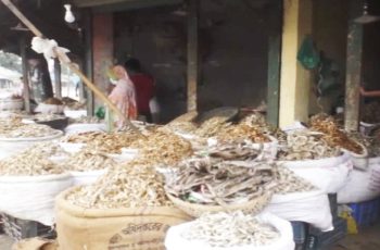 নীলফামারীতে আধুনিক হিমাগার ছাড়া ১২০ কোটি টাকার শুটকির ব্যবসা
