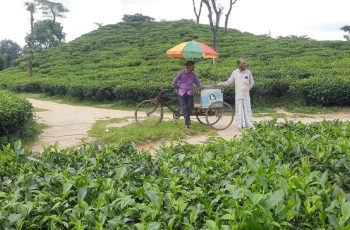 পূজার ছুটিতে সিলেটে পর্যটকদের বরণে প্রস্তুতি