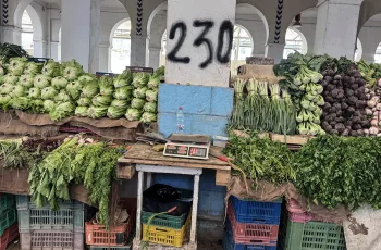 তিউনিসিয়ার অর্থনীতি: কাইস সাঈদের ৭ বছরের অর্জন