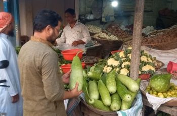 পঞ্চগড়ে লাউয়ের দাম: মাঠে ২ টাকা, ঢাকায় ৬০ টাকা