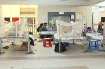 ডেঙ্গুতে ২৪ ঘণ্টায় ৭ জনের প্রাণহানি, মোট ৩৮৪ মৃত্যু