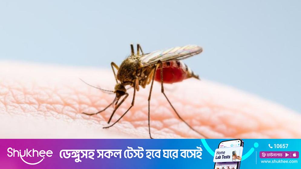 ডেঙ্গুতে ২৪ ঘণ্টায় ১১ প্রাণহানি, মৃত্যু ৪০০ ছাড়ালো