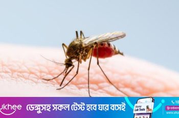 ডেঙ্গুতে ২৪ ঘণ্টায় ১১ প্রাণহানি, মৃত্যু ৪০০ ছাড়ালো