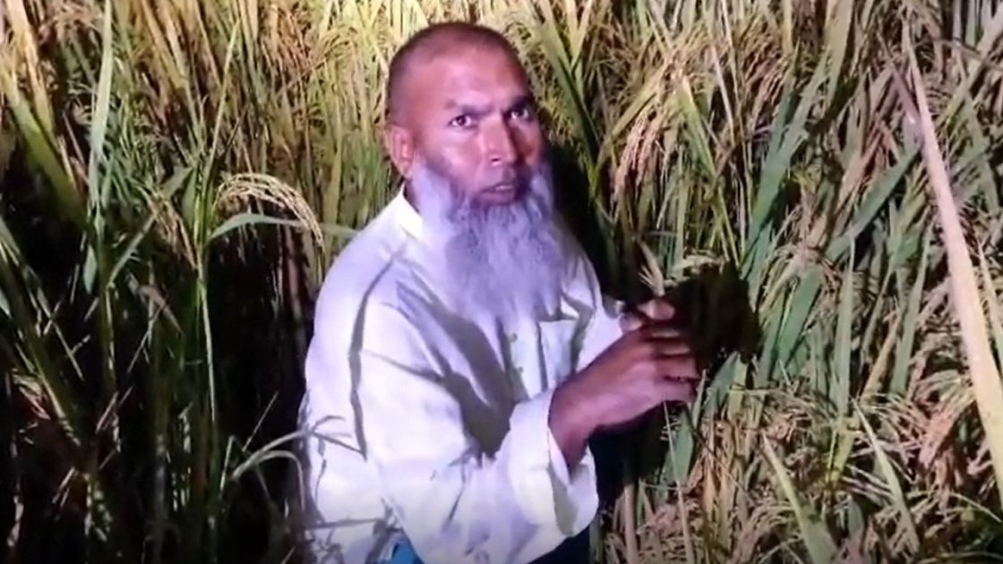 গাইবান্ধায় ধানখেতে আত্মগোপনে থাকা আ.লীগ নেতা গ্রেপ্তার
