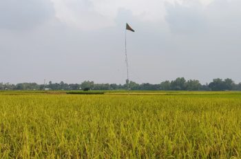 টাঙ্গাইলে গ্রামবাসীর উদ্যোগে স্থায়ী খেলার মাঠের জমি কেনা