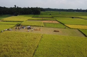 টাঙ্গাইলে গ্রামবাসীর যৌথ উদ্যোগে খেলার মাঠের জমি ক্রয়